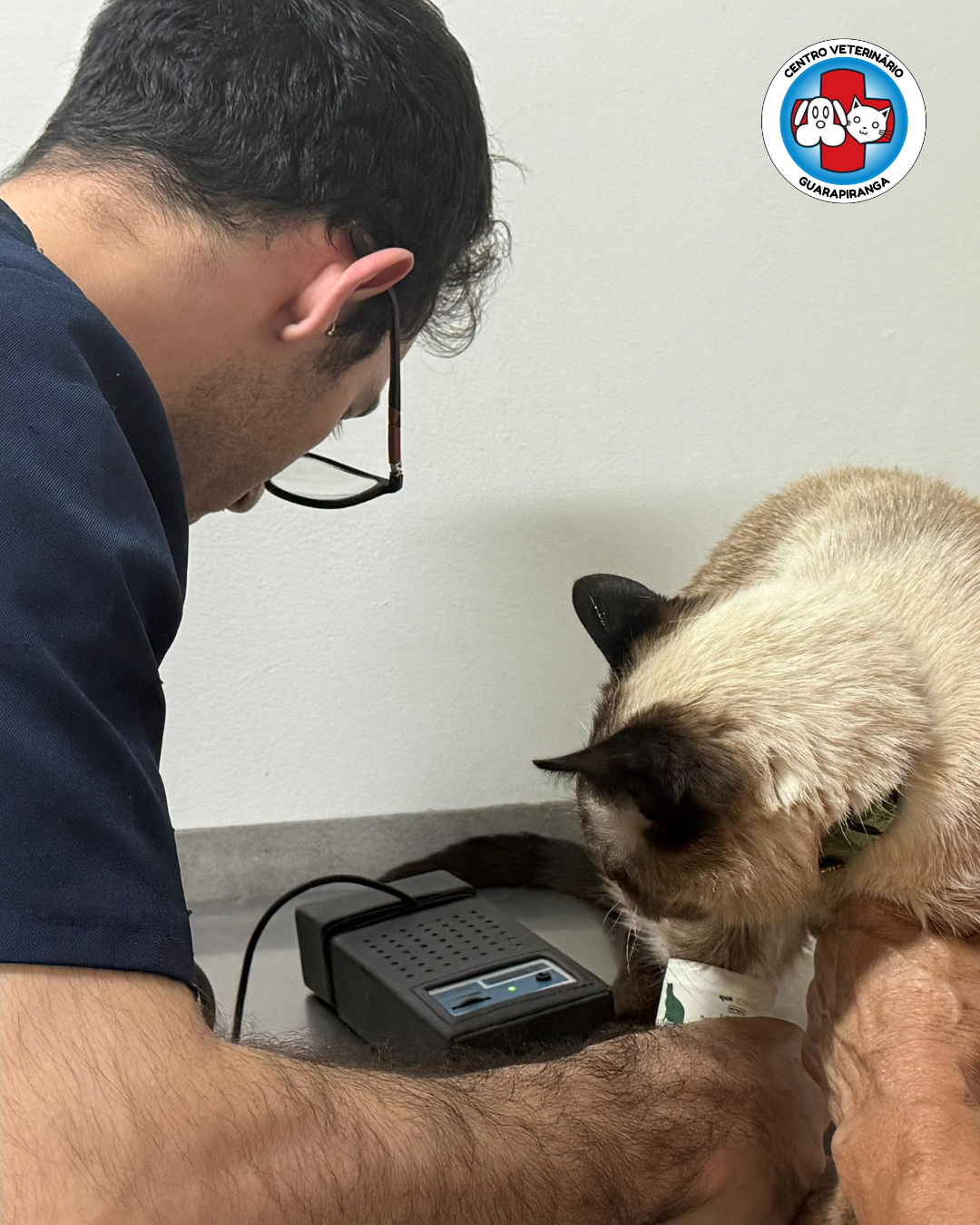 Consultas e Check-up